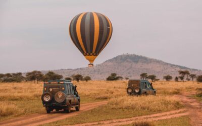 Tarangire Balloon Safari