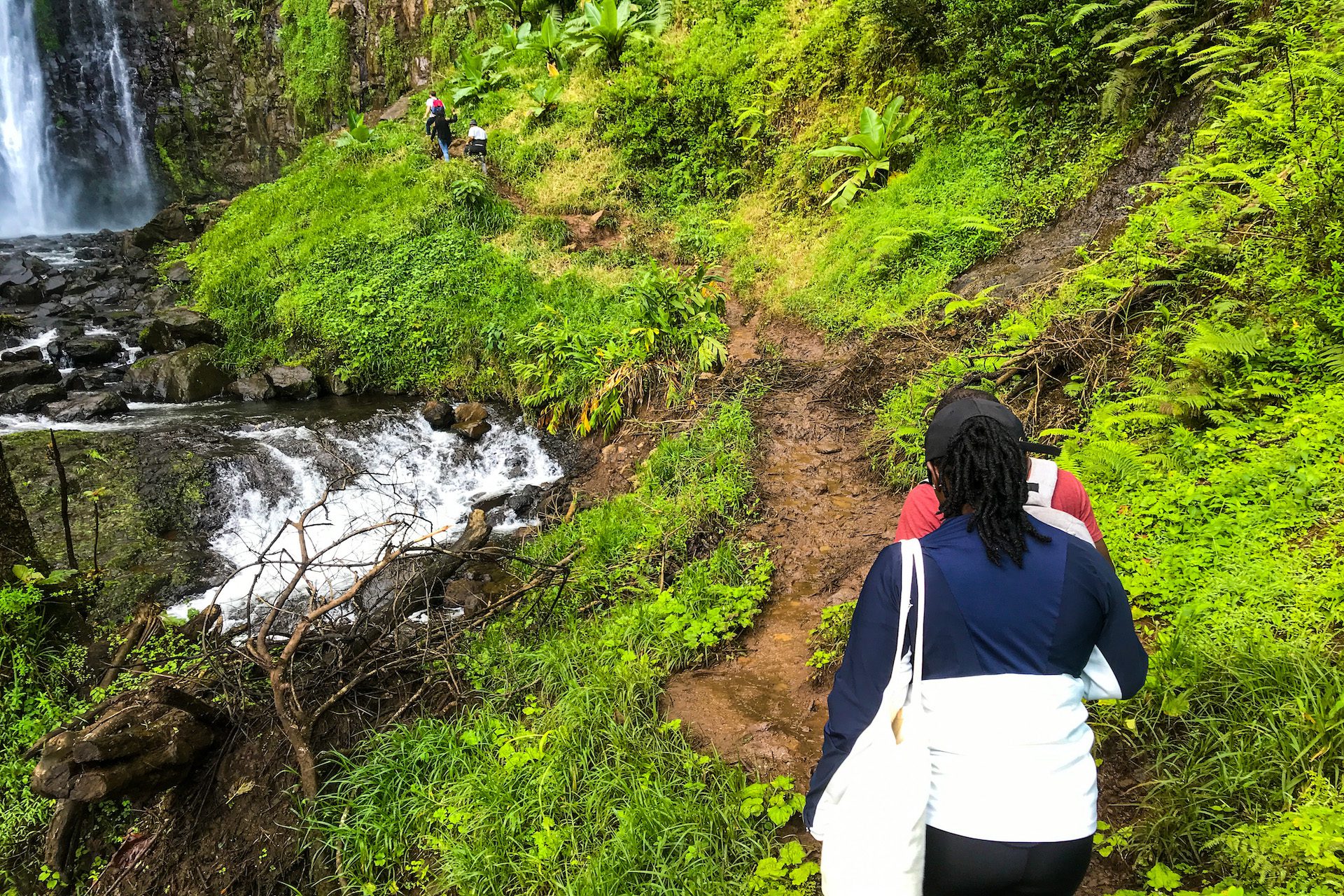 Hike to Materuni Waterfalls with AWAT