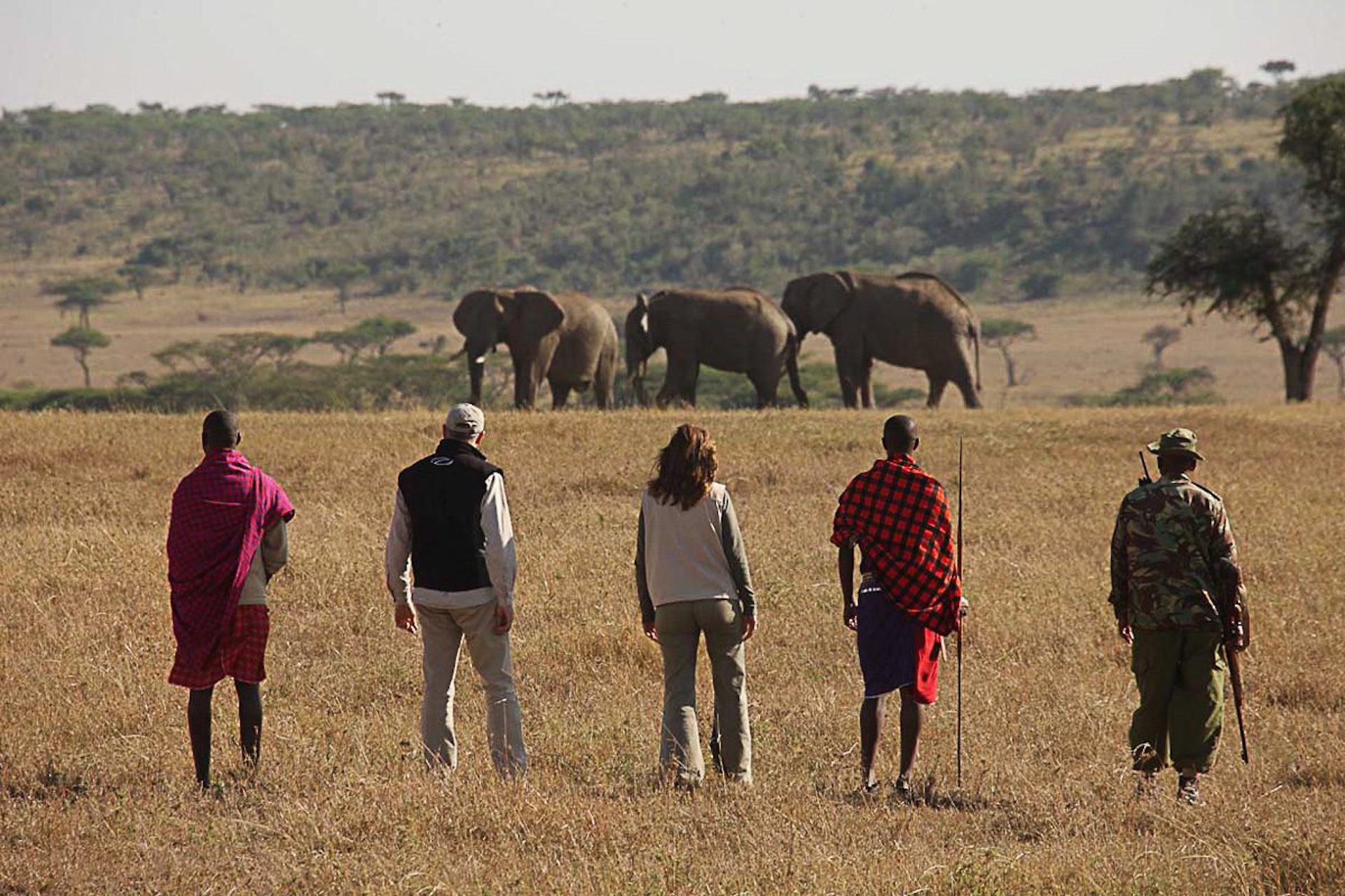 Experience the amazing walking Safari with World Adventure Tours